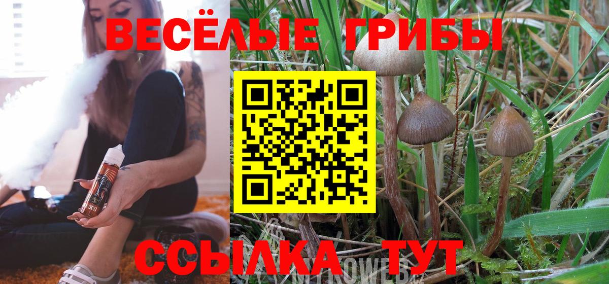 Галлюциногенные грибы Psilocybe Шали